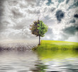 Ecology landscape