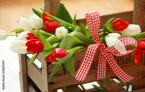 Foto: Tulpen rot/weiß Tulpen rot/weiß