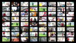 Professional Occupations - People at Work