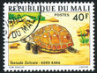 Tortoise