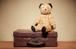 Childhood Nostalgia Teddy Bear