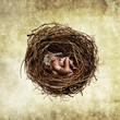 Photo: new life concept new life concept