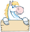 White Horse Looking Over A Blank Wood Sign White Horse Looking Over A Blank Wood Sign
