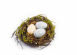 Kleines Osternest