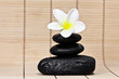 frangipani and black stones