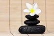 frangipani and black stones