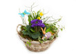 Osterhase liegend