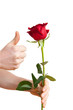 Daumen hoch fuer die Liebe