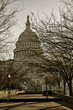 Capitol