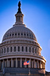 US Capitol