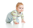 adorable boy crawls on all fours studio shot