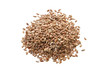 Flax seed