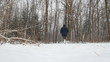 fitness training for nordic walking in the winter snow