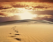 sand desert
