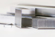 Several metallic stapler staples