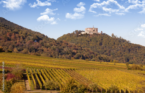 Foto: Hambacher Schloss und Weinberge Hambacher Schloss und Weinberge