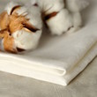 Set de table coton
