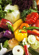 fresh organic vegetables as food and nature background fresh organic vegetables as food and nature background