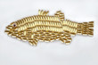 Fish Oil Capsules in a Fish Shape Fish Oil Capsules in a Fish Shape