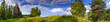 Summer panoramic landscape with mixed forest