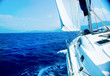 Yacht Sailing. Sailboat
