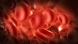 streaming blood cells  in vein