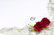 weiße rosenblätter mit roten Rosen