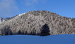 Paysage hivernal (Jura suisse)