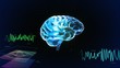 the crystal brain right side and wave graph