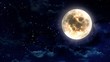 moon in the night sky