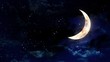 half moon in the night sky