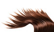 healthy hair