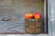 apples in bushel basket