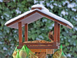 Photo: Spatz im Vogelhäuschen Spatz im Vogelhäuschen