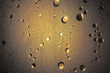 Shower Door - Gold