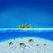 Exotic Holiday Destination