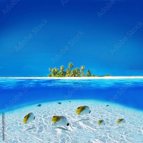 Photo: Exotic Holiday Destination Exotic Holiday Destination