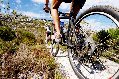 Photo: mountain bike trail mountain bike trail