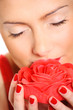 Red rose