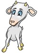 Illustration: Baby Goat - Colored Cartoon Illustration Baby Goat - Colored Cartoon Illustration