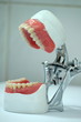 Dental prosthesis