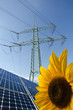 Solarmodule, Sonnenblume und Strommast mit Leitungen