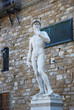 David of Michelangelo statue at the Old Palace.