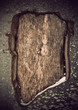 Wounded bark