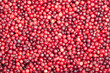 background of Cranberry