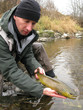 Fishing catch and release
