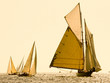 voile