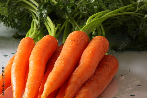 Photo: carrot carrot
