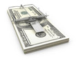 Mouse trap made of bundle of dollars Mouse trap made of bundle of dollars