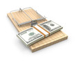 Pack of dollars on a mouse trap Pack of dollars on a mouse trap